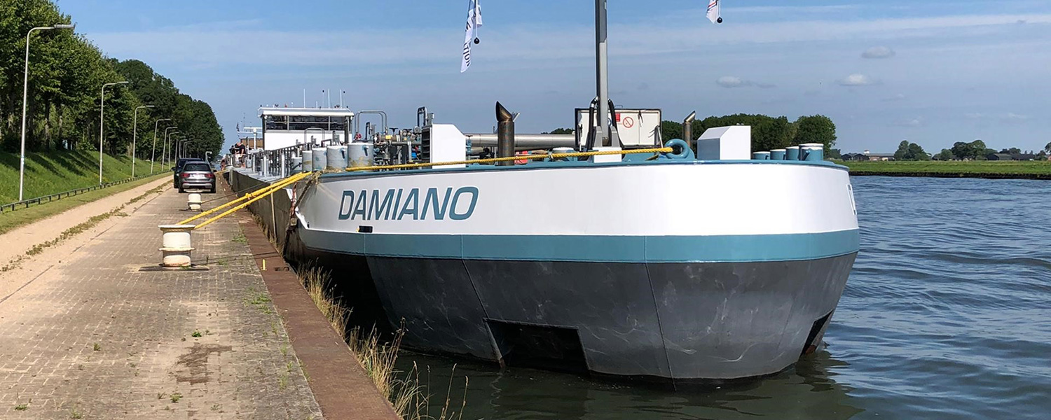 mts damiano